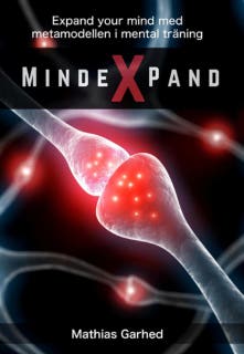 Mindexpand: Metamodellen i Mind Training