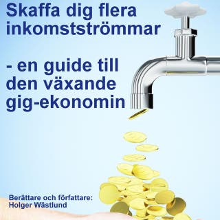 Skaffa dig flera inkomstströmmar