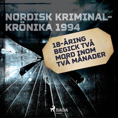 18-åring begick två mord inom två månader