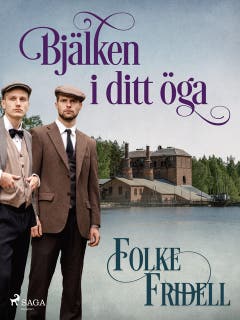 Bjälken i ditt öga – omslag till ljudboken av Folke Fridell