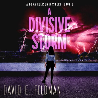 A Divisive Storm: A Gripping Mystery Thriller – omslag til lydbogen af David E. Feldman
