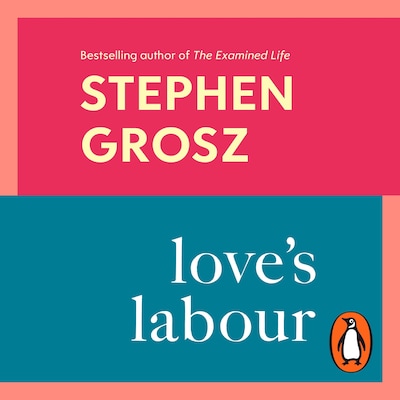 Love’s Labour – omslag til lydbogen af Stephen Grosz