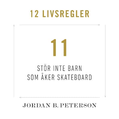 Regel 11: Stör inte barn som åker skateboard
