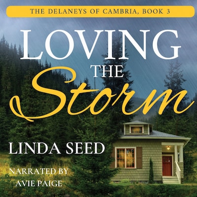 Loving the Storm – okładka audiobooka, autor Linda Seed