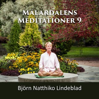 Mälardalens Meditationer 9