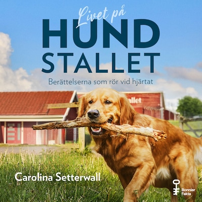 Livet på Hundstallet