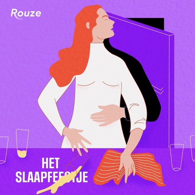 Het slaapfeestje – omslag van het luisterboek van Rouze