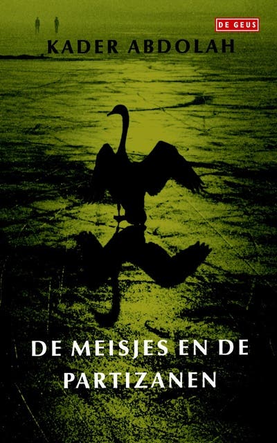 Meisjes en de partizanen