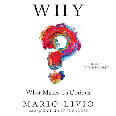 Why? – omslag til lydbogen af Mario Livio