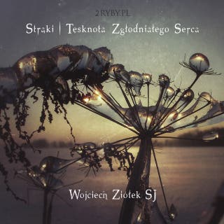Strąki: Tęsknota zgłodniałego serca – okładka audiobooka, autor o. Wojciech Ziółek