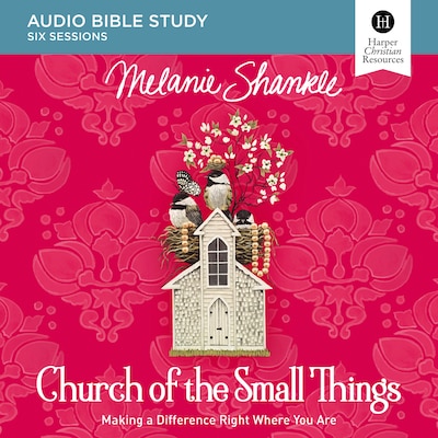 Church of the Small Things: Audio Bible Studies