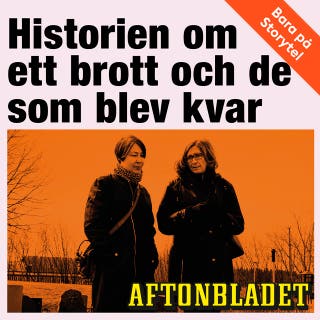 Historien om ett brott