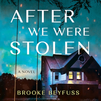 After We Were Stolen