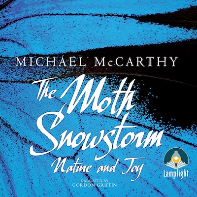 The Moth Snowstorm – omslag til lydbogen af Michael McCarthy