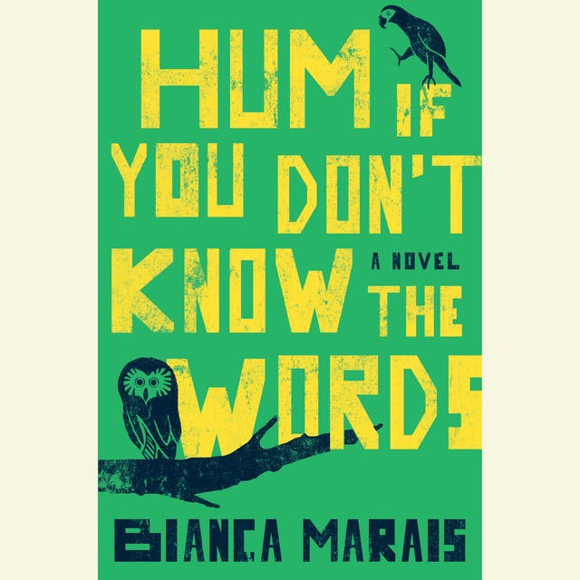 Hum If You Don't Know the Words – omslag van het luisterboek van Bianca Marais