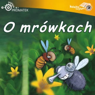 O mrówkach robotnicach – okładka audiobooka, autor Ryszard Adam Gruchawka