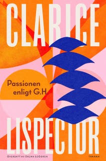 Passionen enligt G. H. – omslag till ljudboken av Clarice Lispector