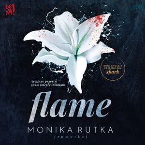 Flame