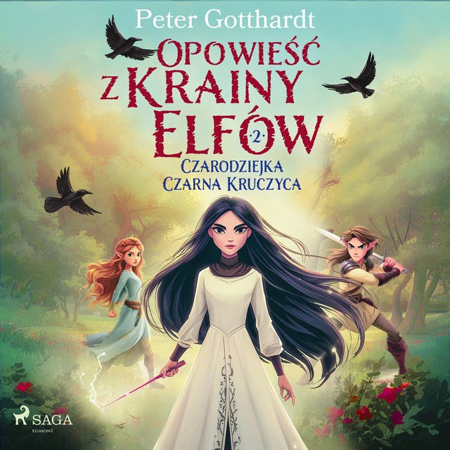 Opowieść z Krainy Elfów 2 – Czarodziejka Czarna Kruczyca – okładka audiobooka, autor Peter Gotthardt