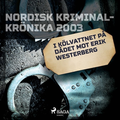 I kölvattnet på dådet mot Erik Westerberg