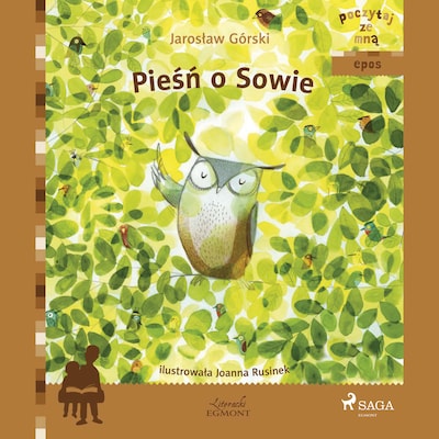 Pieśń o Sowie – okładka audiobooka, autor Jarosław Górski