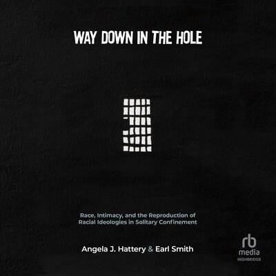 Way Down in the Hole – omslag til lydbogen af Angela J. Hattery, Earl Smith