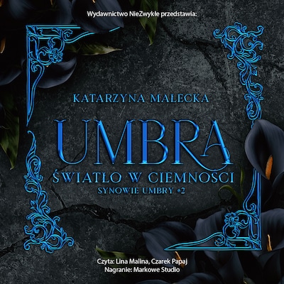 Umbra. Światło w ciemności – okładka audiobooka, autor Katarzyna Małecka