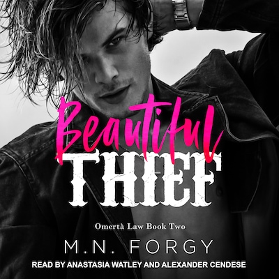 Beautiful Thief – omslag til lydbogen af M. N. Forgy