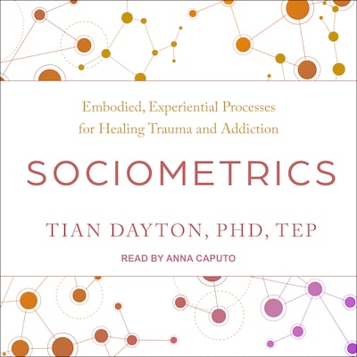Sociometrics – omslag til lydbogen af Tian Dayton