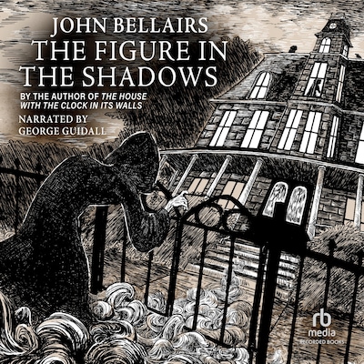 The Figure in the Shadows