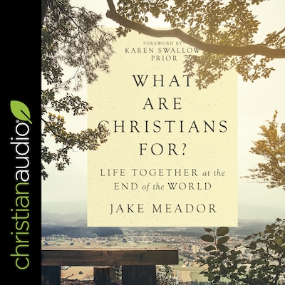 What Are Christians For?