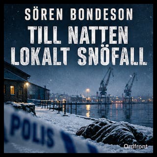 Till natten lokalt snöfall – omslag till ljudboken av Sören Bondeson