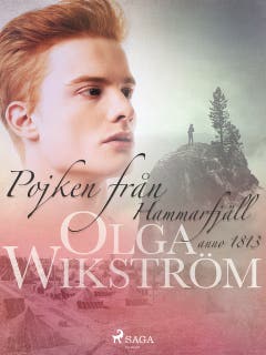 Pojken från Hammarfjäll : anno 1813