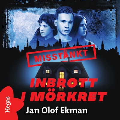 Inbrott i mörkret