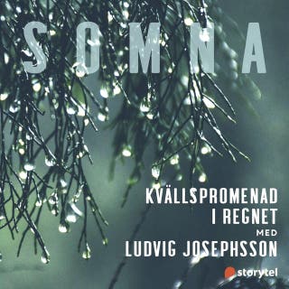 Kvällspromenad i regnet