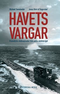 Havets vargar (utgått) – omslag till ljudboken av Jonas Hård af Segerstad,Michael Tamelander
