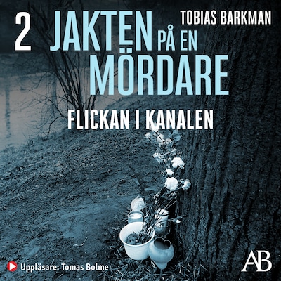Jakten på en mördare: Flickan i kanalen