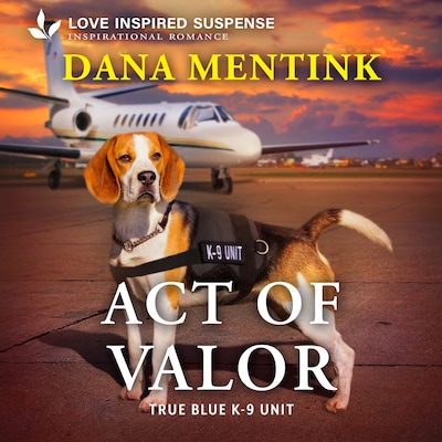 Act of Valor – omslag til lydbogen af Dana Mentink