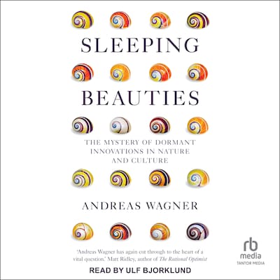 Sleeping Beauties – omslag til lydbogen af Andreas Wagner