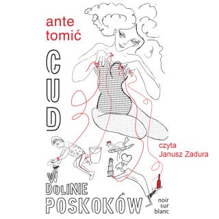 Cud w Dolinie Poskoków – okładka audiobooka, autor Ante Tomić