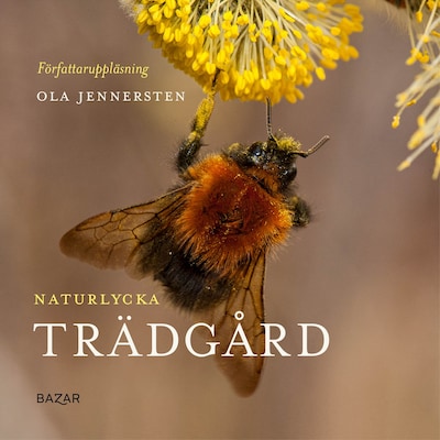 Naturlycka - Trädgård – omslag till ljudboken av Ola Jennersten
