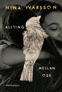Allting mellan oss