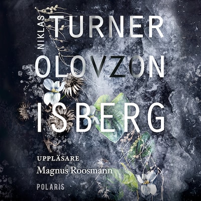 Isberg
