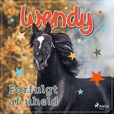 Wendy – Forfulgt af uheld – omslag til lydbogen af diverse