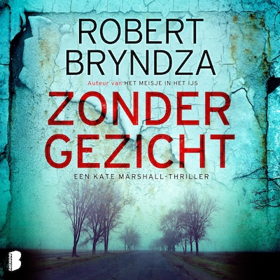 Zonder gezicht