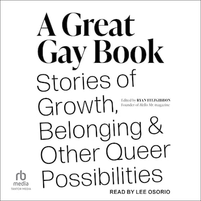 A Great Gay Book – omslag til lydbogen af Unknown Author