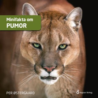 Minifakta om pumor