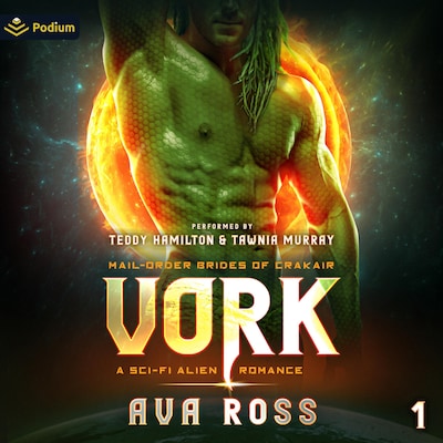 Vork – omslag til lydbogen af Ava Ross