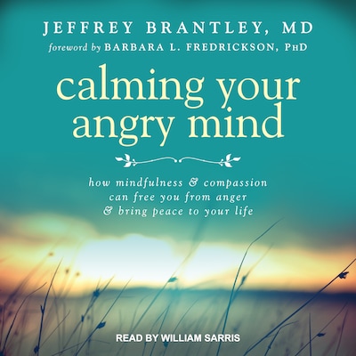 Calming Your Angry Mind – omslag til lydbogen af Jeffrey Brantley, MD