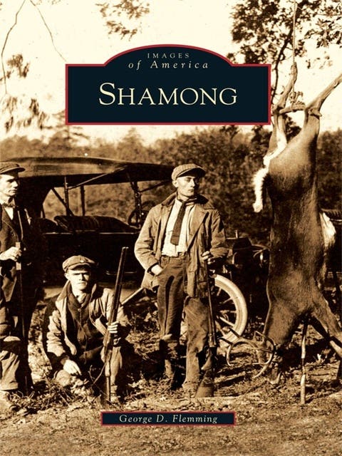 Shamong – omslag til lydbogen af George D Flemming